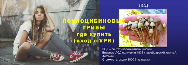 гидропоника Кукмор