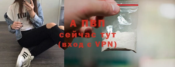 дмт Козельск