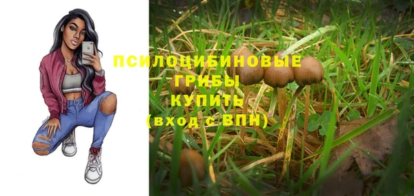 гидропоника Кукмор